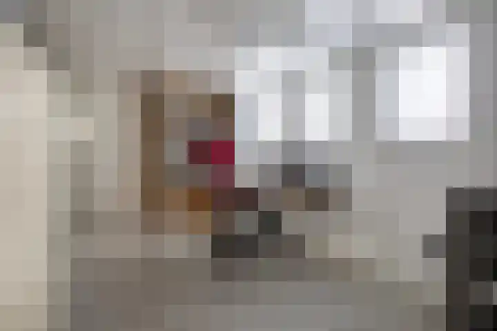 De Lepelaar 22 Dronten thumbnail 29