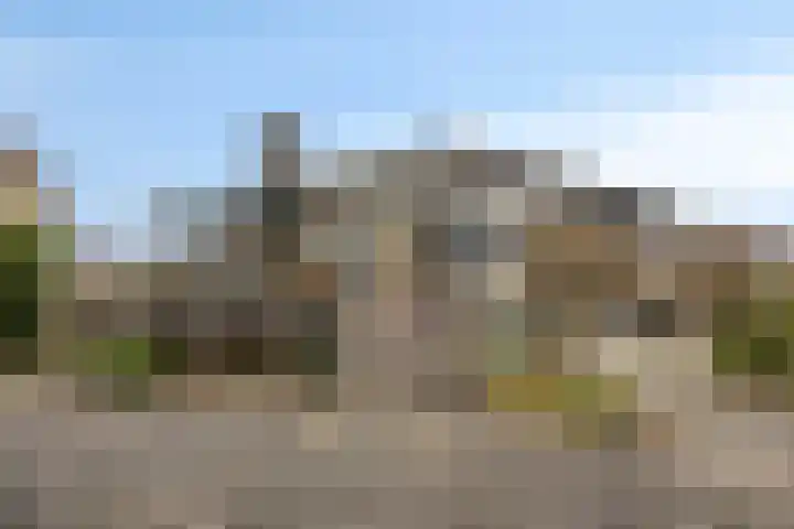 De Lepelaar 22 Dronten thumbnail 35