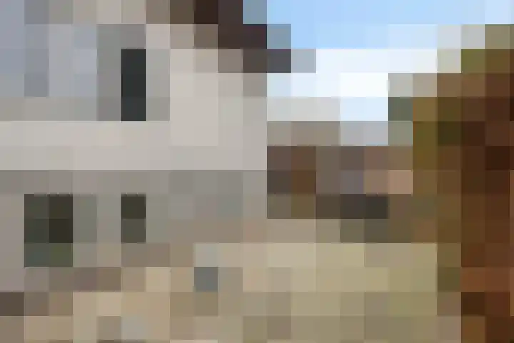 De Lepelaar 22 Dronten thumbnail 36