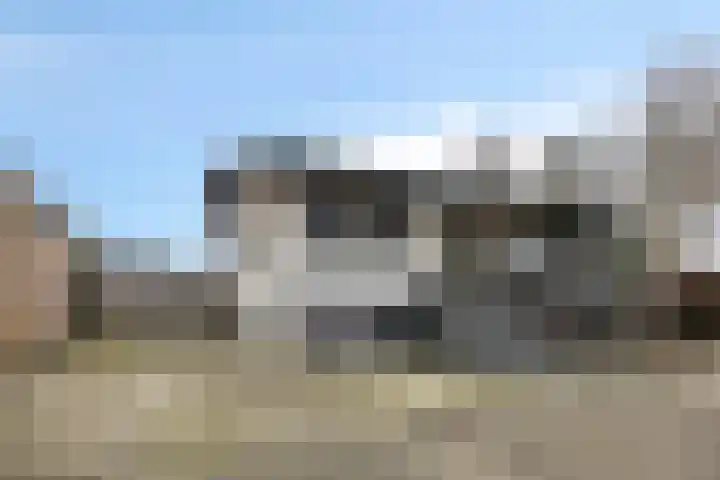 De Lepelaar 22 Dronten thumbnail 39
