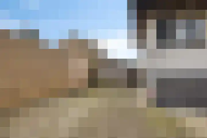 De Lepelaar 22 Dronten thumbnail 40
