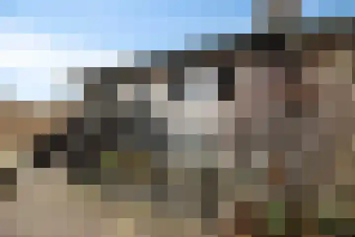 De Lepelaar 22 Dronten thumbnail 41