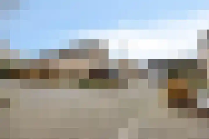De Lepelaar 22 Dronten thumbnail 42
