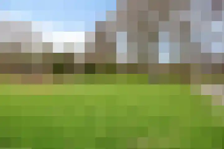 De Lepelaar 22 Dronten thumbnail 44