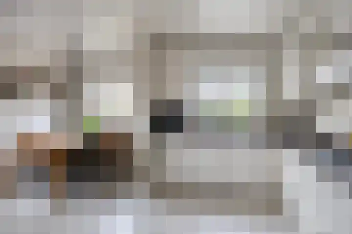 De Lepelaar 22 Dronten thumbnail 9