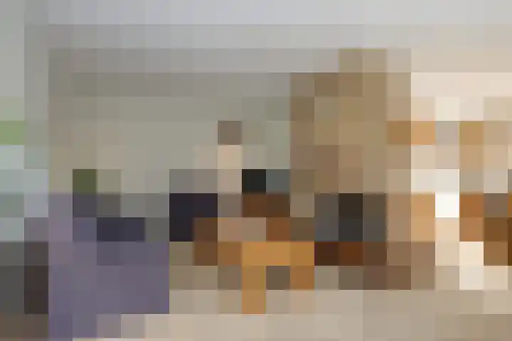 De Lepelaar 7 Dronten thumbnail 17