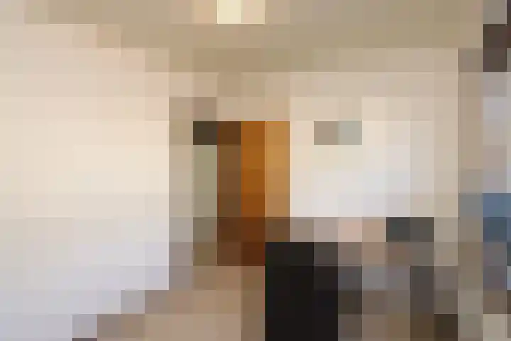 De Lepelaar 7 Dronten thumbnail 22