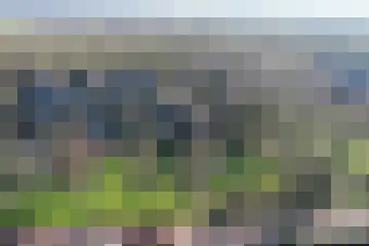 De Lepelaar 7 Dronten thumbnail 45