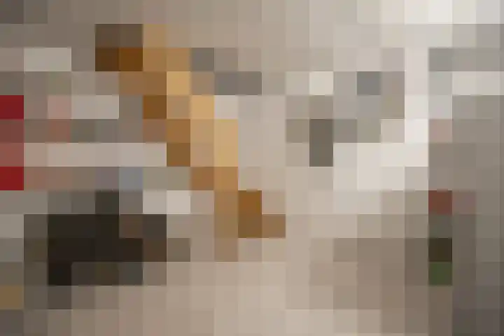 De Leucker 9 Swalmen thumbnail 24