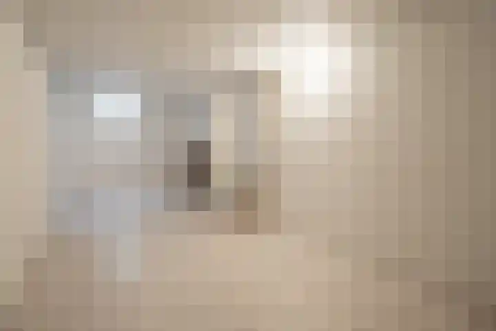 De Leucker 9 Swalmen thumbnail 25