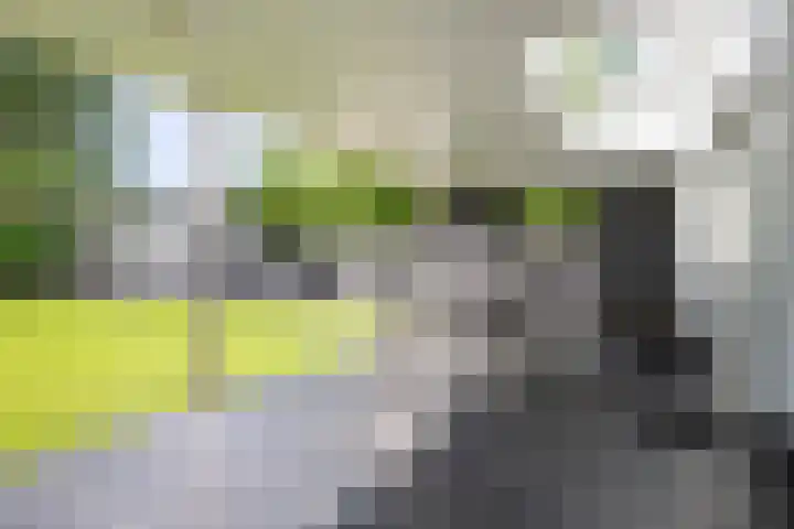 De Leucker 9 Swalmen thumbnail 28