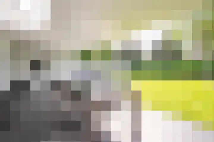De Leucker 9 Swalmen thumbnail 29
