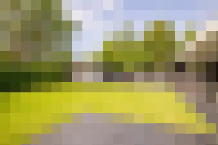 De Leucker 9 Swalmen thumbnail 30