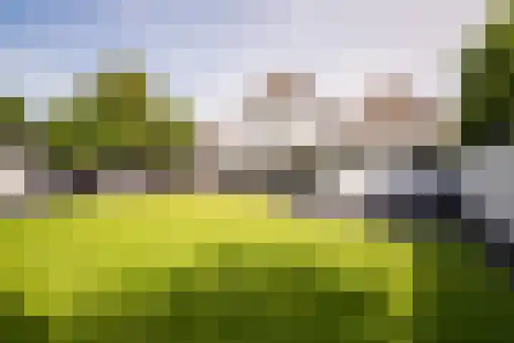 De Leucker 9 Swalmen thumbnail 31