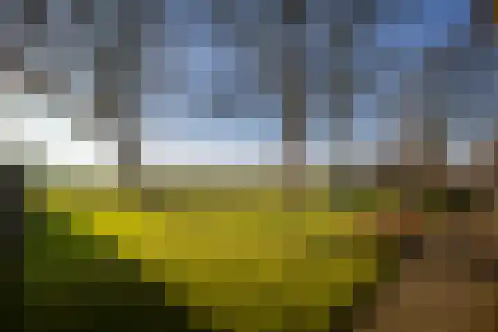 de Leuke 6 Vorden thumbnail 10
