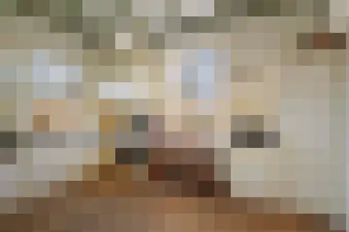 de Leuke 6 Vorden thumbnail 15