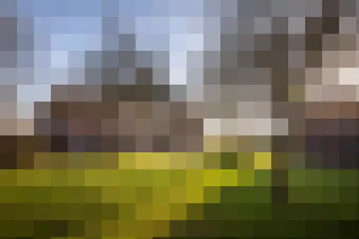 de Leuke 6 Vorden foto 2
