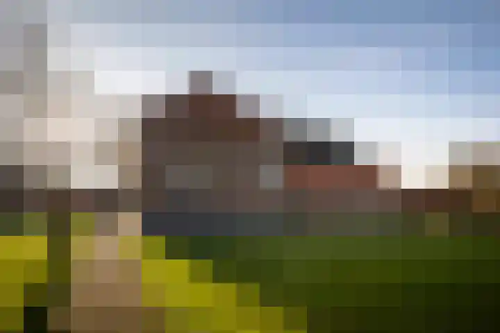 de Leuke 6 Vorden thumbnail 29