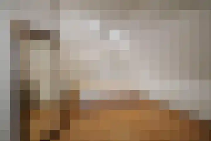 de Leuke 6 Vorden thumbnail 33