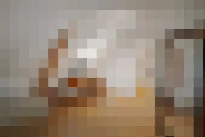 de Leuke 6 Vorden thumbnail 34