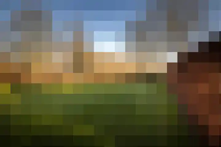 de Leuke 6 Vorden thumbnail 48