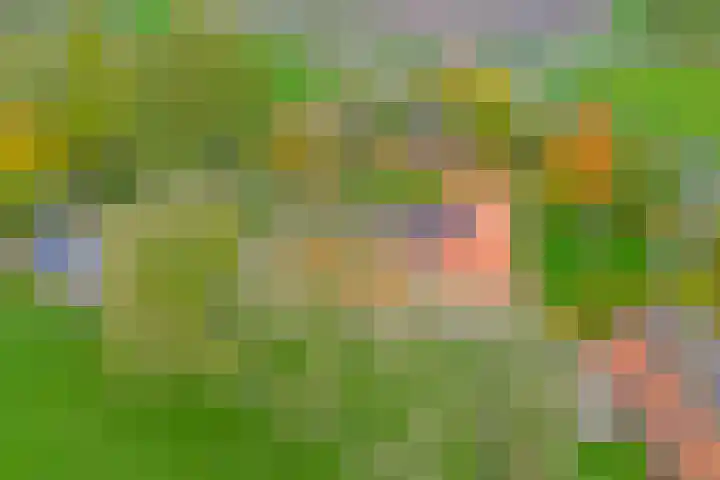 de Leuke 6 Vorden thumbnail 59
