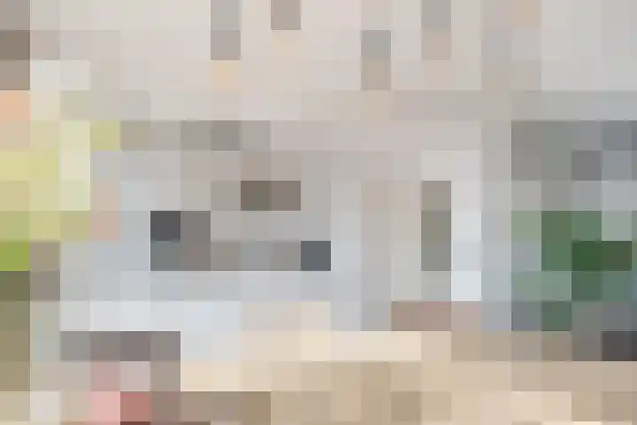 de Leuren 6 Heeze thumbnail 10