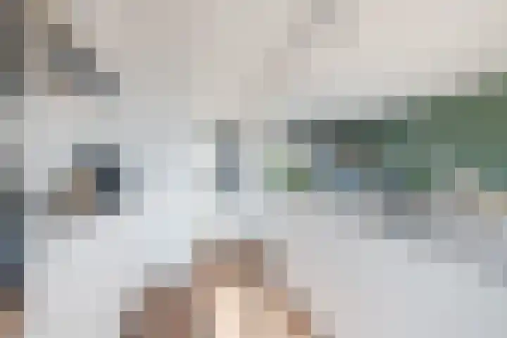 de Leuren 6 Heeze thumbnail 13