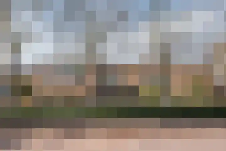 de Leuren 6 Heeze thumbnail 31