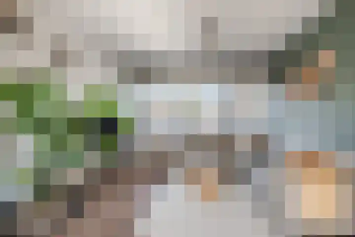 de Leuren 6 Heeze thumbnail 7