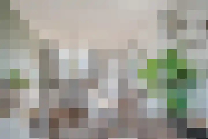de Leuren 6 Heeze thumbnail 8