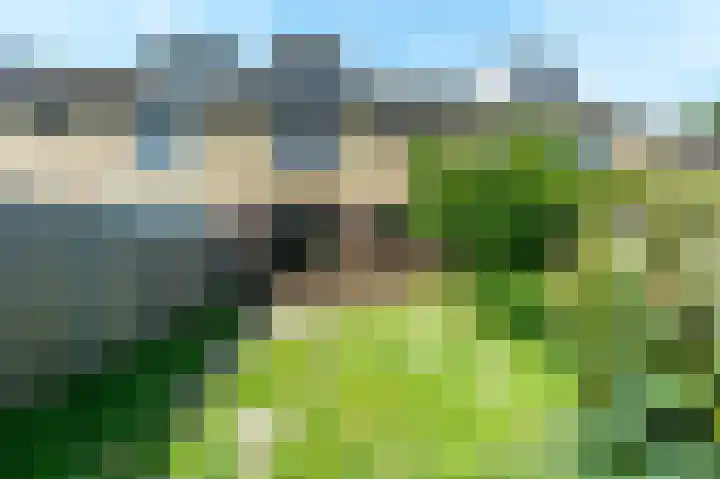 De Leyen 12 Callantsoog thumbnail 33