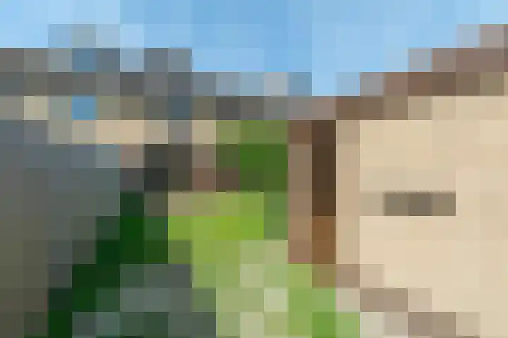 De Leyen 12 Callantsoog thumbnail 35
