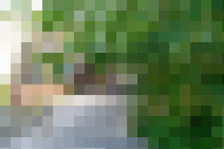 De Leyen 12 Callantsoog thumbnail 39