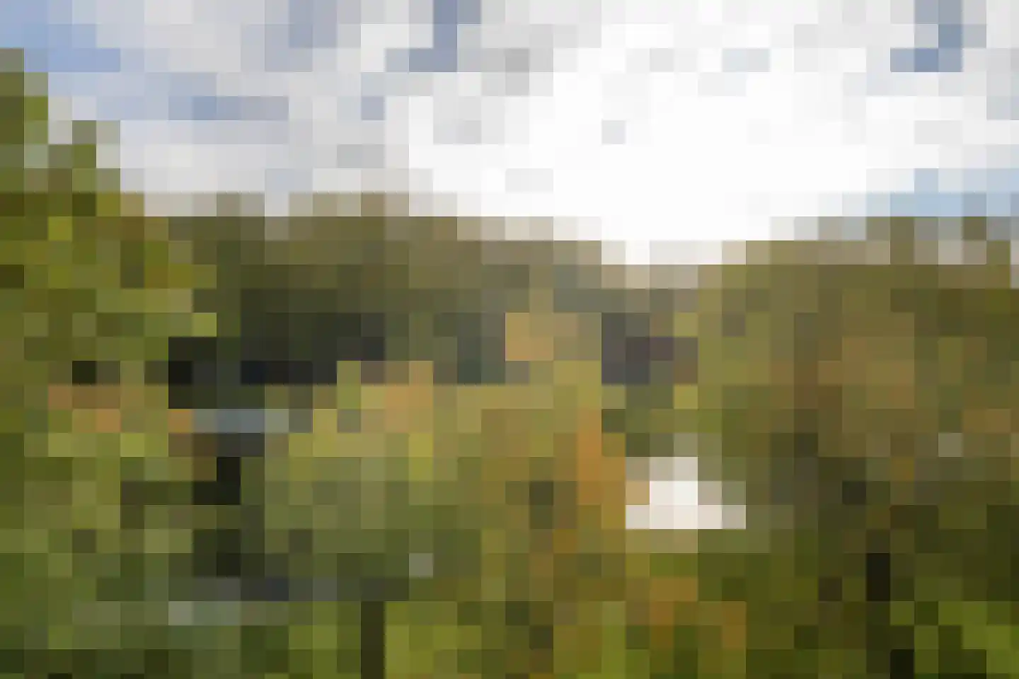 De Lierhof 14 Amsterdam thumbnail 14
