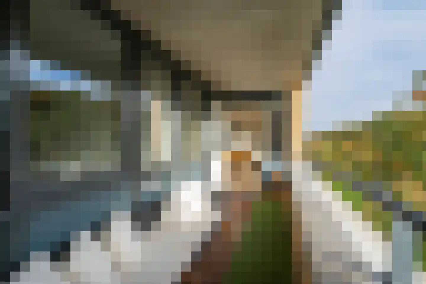 De Lierhof 14 Amsterdam thumbnail 15