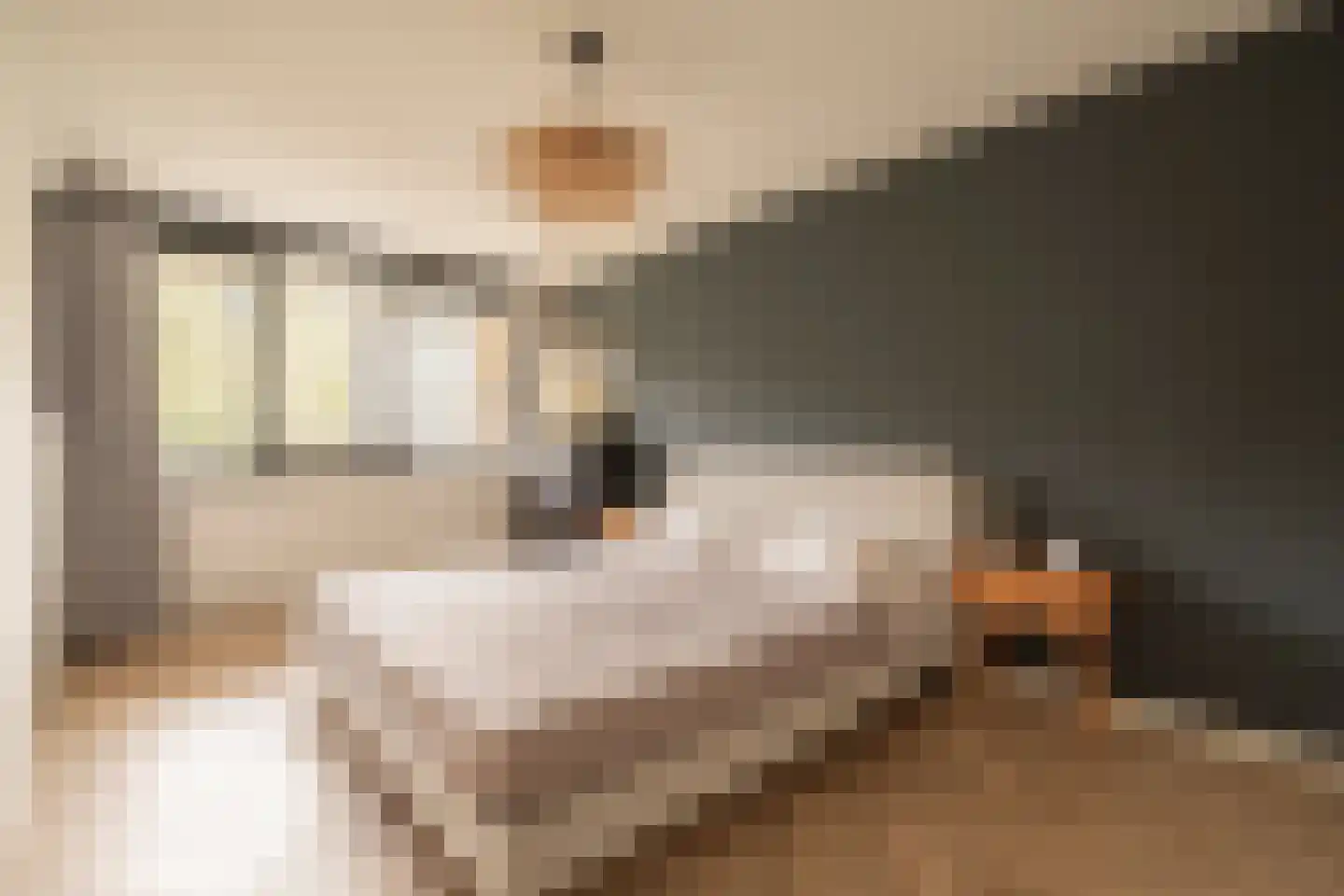 De Lierhof 14 Amsterdam thumbnail 21
