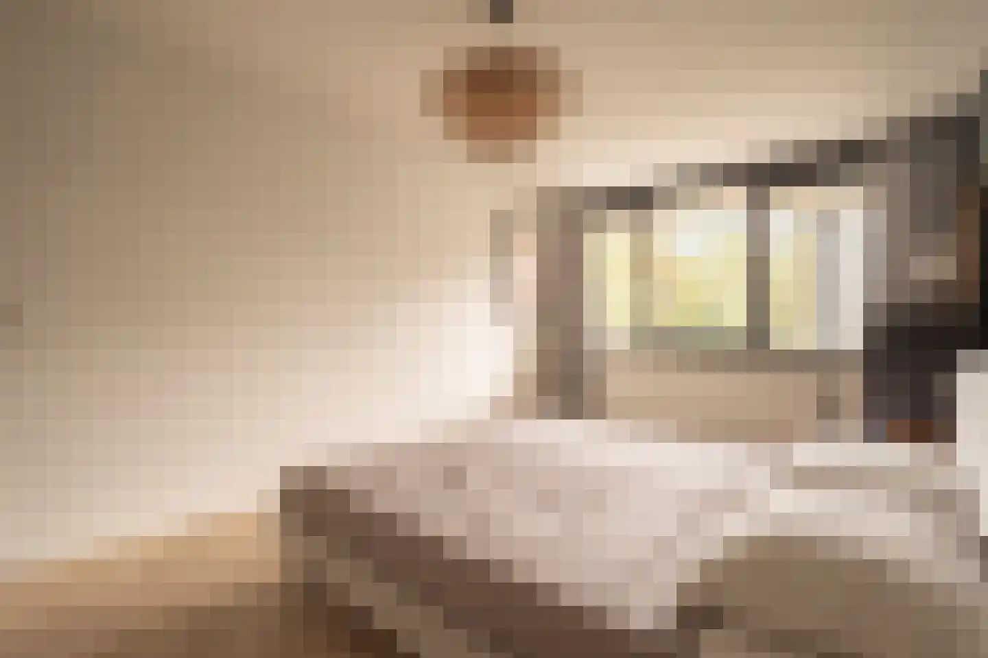 De Lierhof 14 Amsterdam thumbnail 22