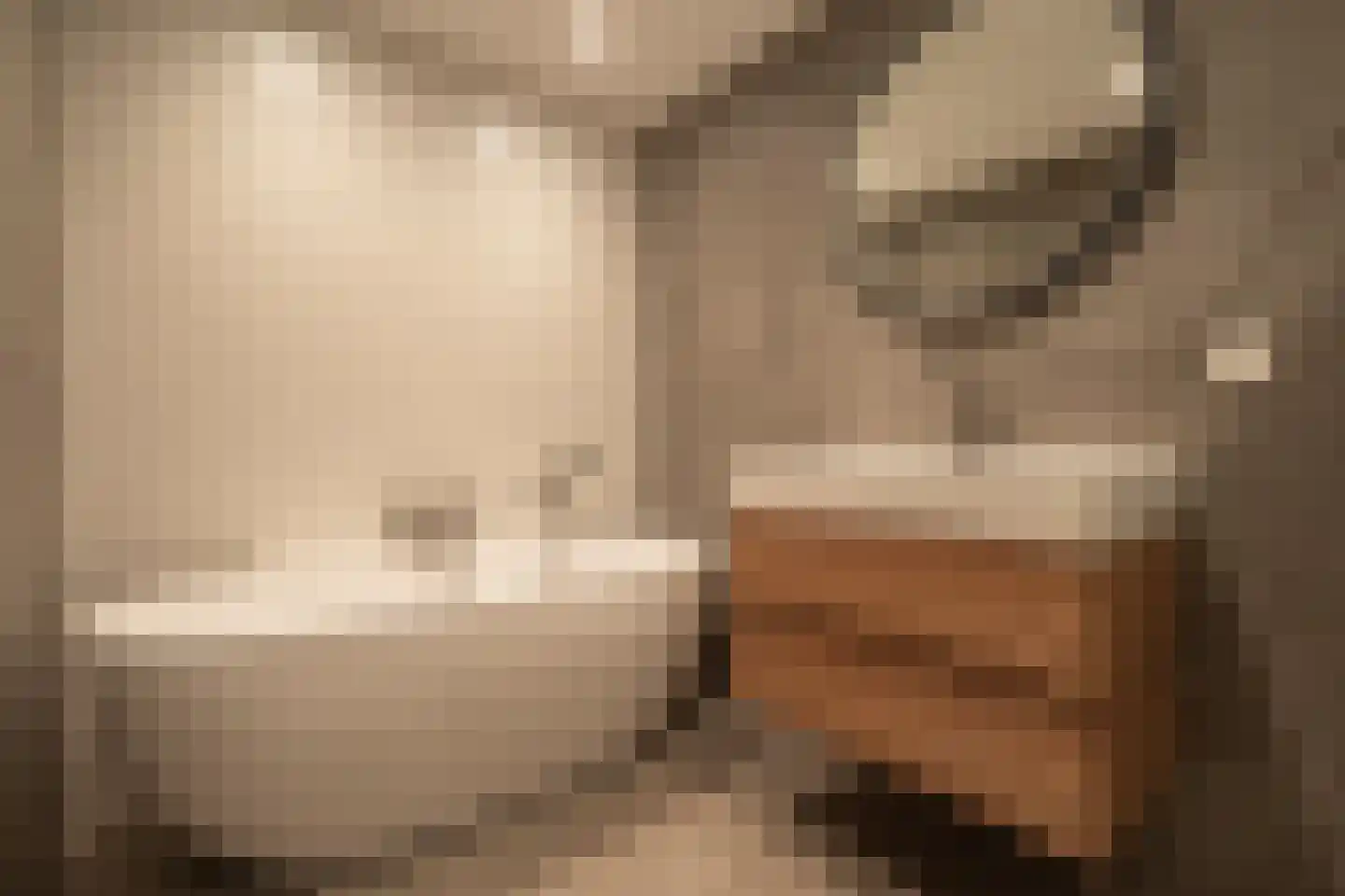 De Lierhof 14 Amsterdam thumbnail 25