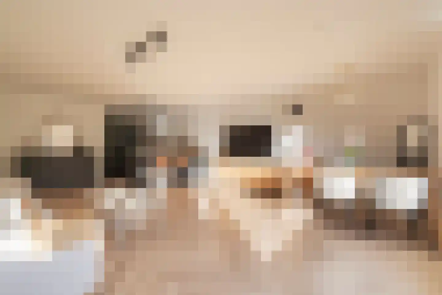 De Lierhof 14 Amsterdam thumbnail 8
