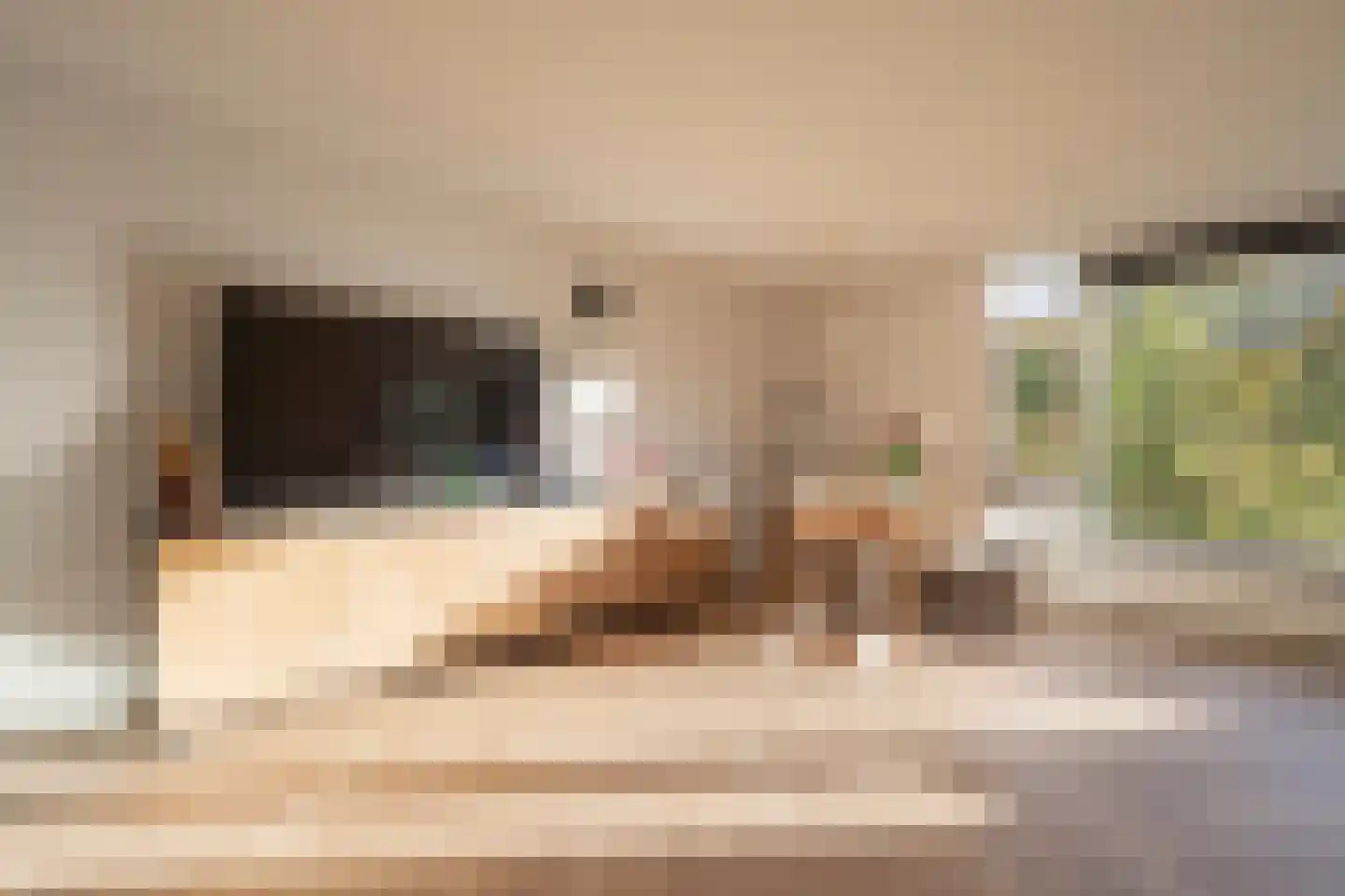De Lierhof 14 Amsterdam thumbnail 9