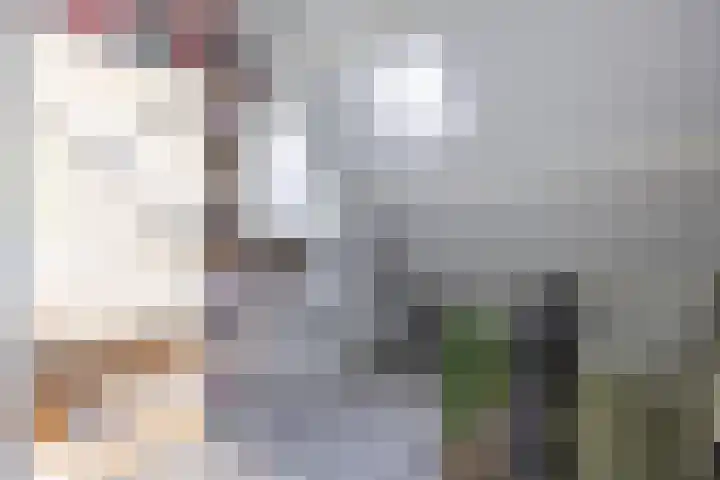 De Lijnbaan 21 Ulrum thumbnail 22