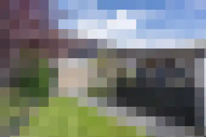 De Lijnbaan 21 Ulrum thumbnail 28