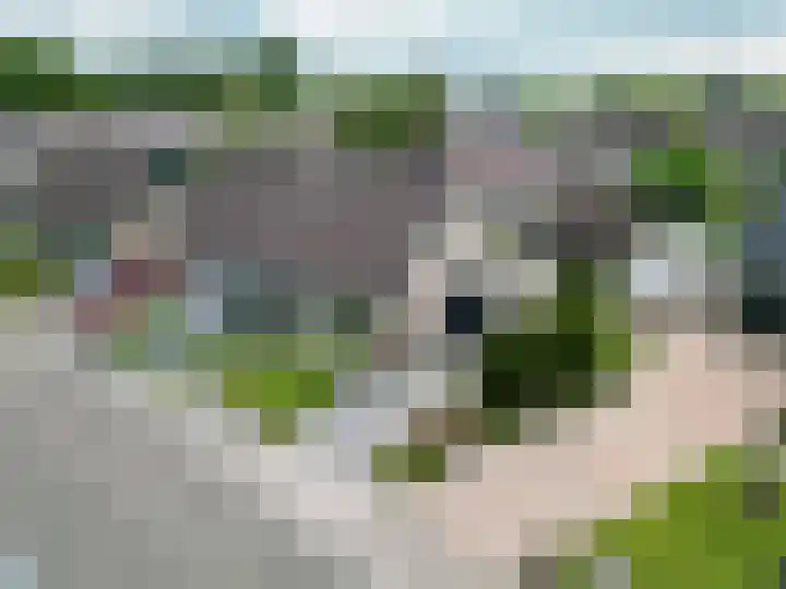 De Lijnbaan 21 Ulrum thumbnail 37