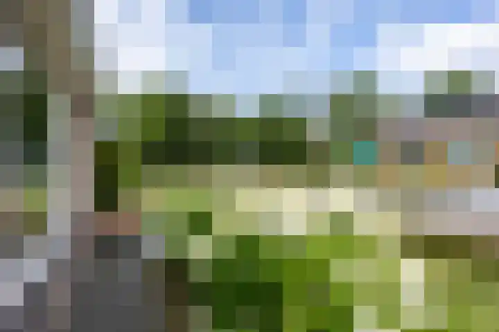 De Lijnbaan 21 Ulrum thumbnail 6