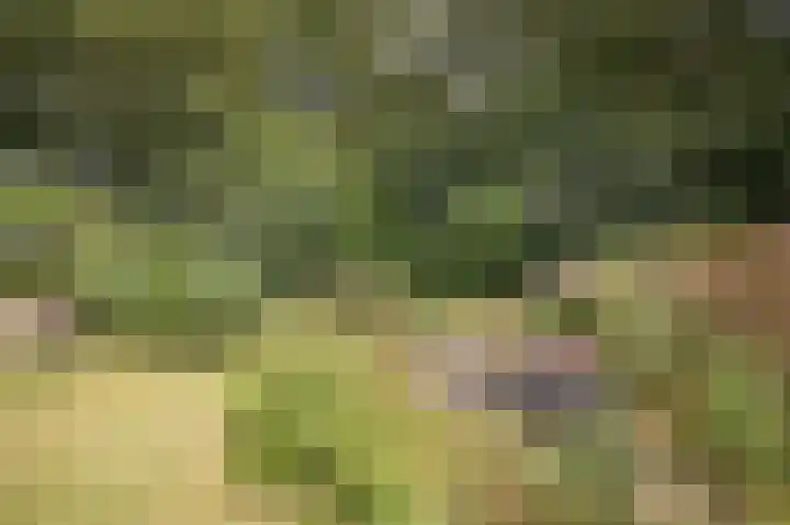De Linden 43 Valthe thumbnail 32