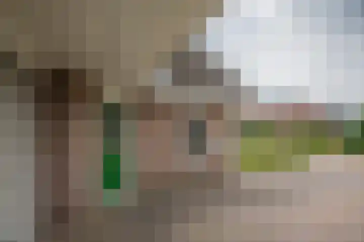 De Linden 43 Valthe thumbnail 7