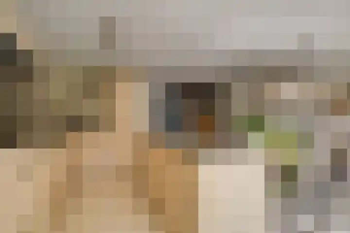 De Linge 17 Naaldwijk thumbnail 10