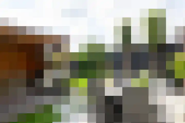 De Linge 17 Naaldwijk thumbnail 12