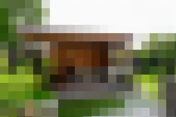 De Linge 17 Naaldwijk thumbnail 14